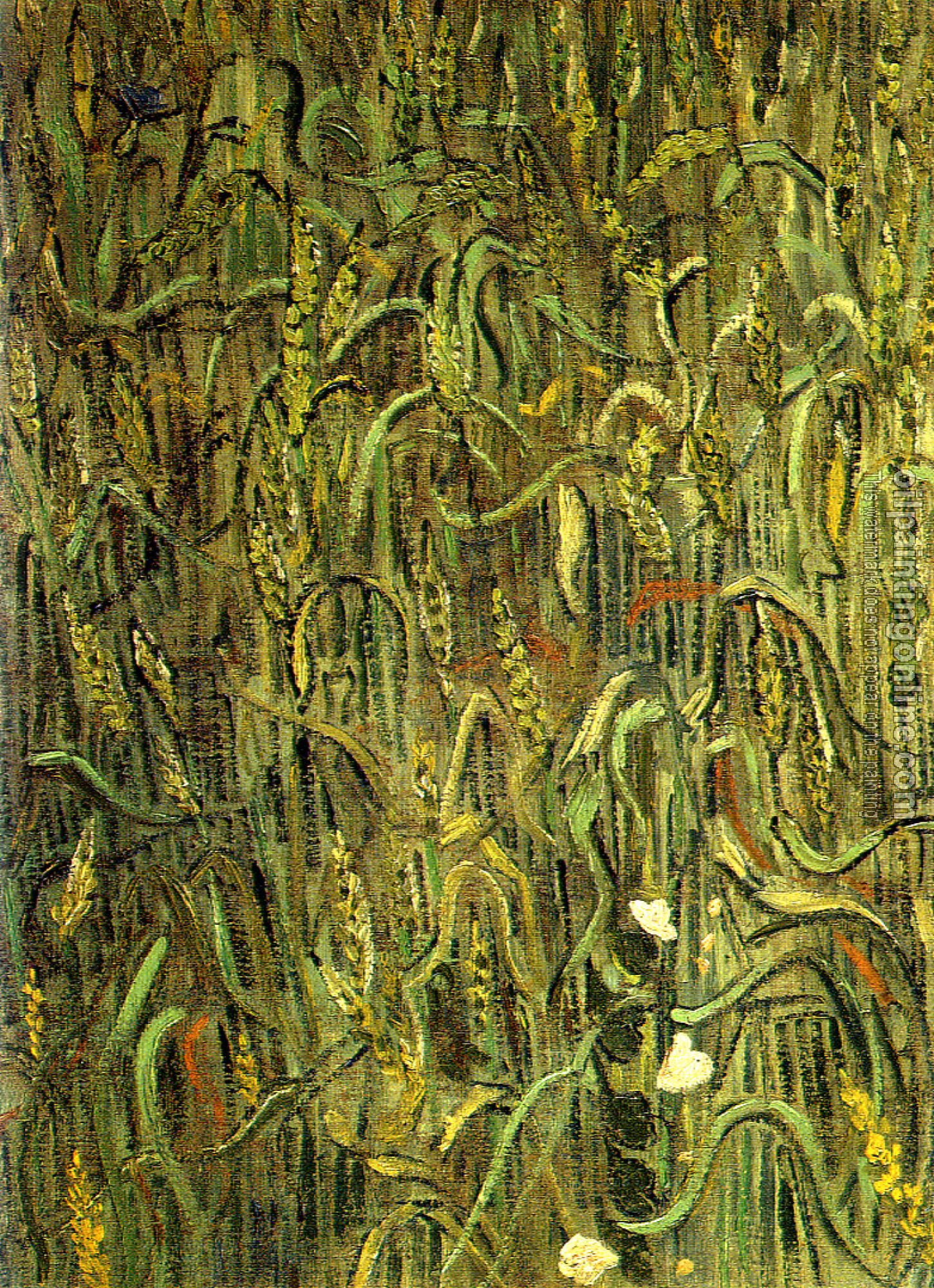 Gogh, Vincent van - Ears of Wheat
